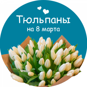 Купить тюльпаны в Сыктывкаре